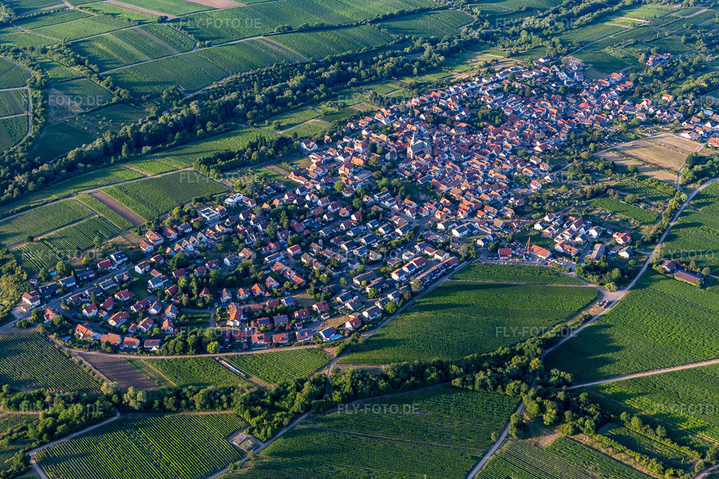Luftbild: Arzheim im Ortsteil Arzheim in Landau im Bundesland Rheinland-Pfalz in Deutschland. Foto: IMG_133680.jpg vom 18.07.2022 durch Werner Riehm/FLY-FOTO.de/ Stadt Landau