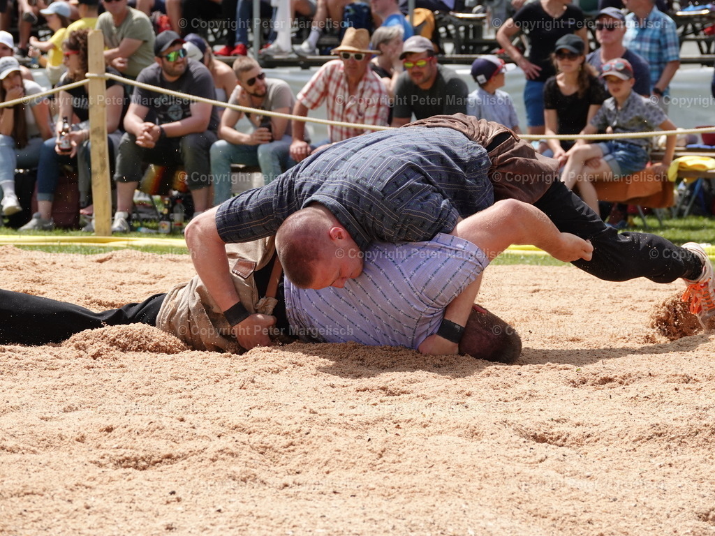 DSC07434 | Schwingen - Realisiert mit Pictrs.com