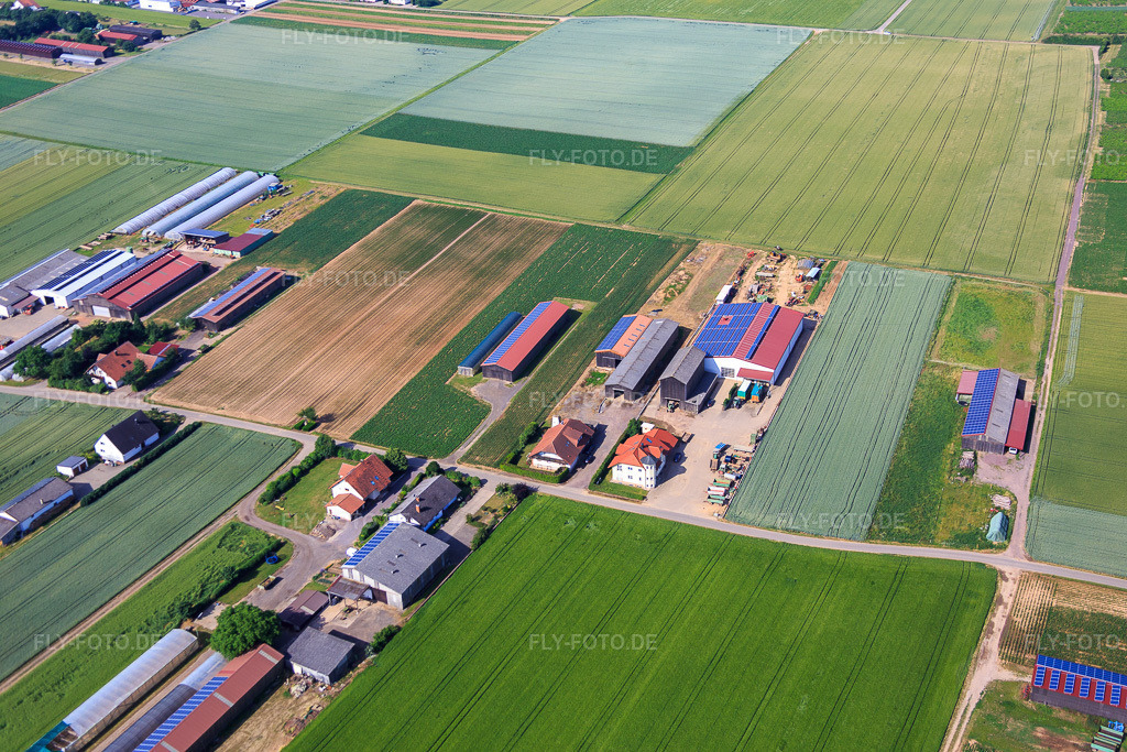 Luftbild: Aussiedlerhöfe am Wingertsberg von Kerner Andreas und Detzel GbR - Lagerhalle in Herxheim bei Landau im Bundesland Rheinland-Pfalz in Deutschland. Foto: IMG_080996.jpg vom 14.06.2015 durch Werner Riehm/FLY-FOTO.de