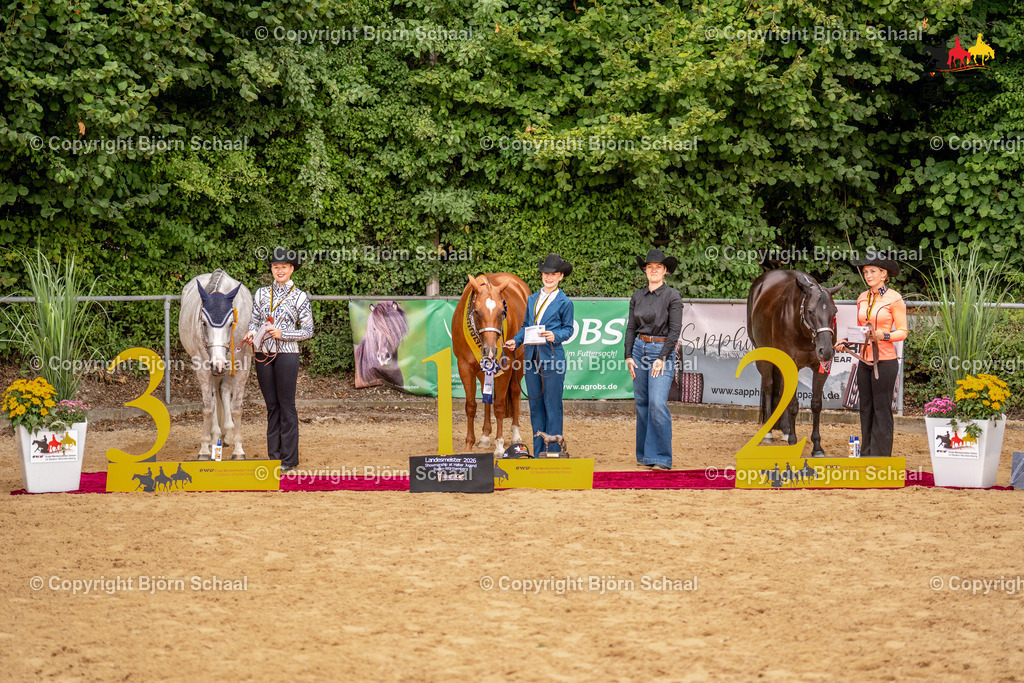LMS06885 | BS-foto