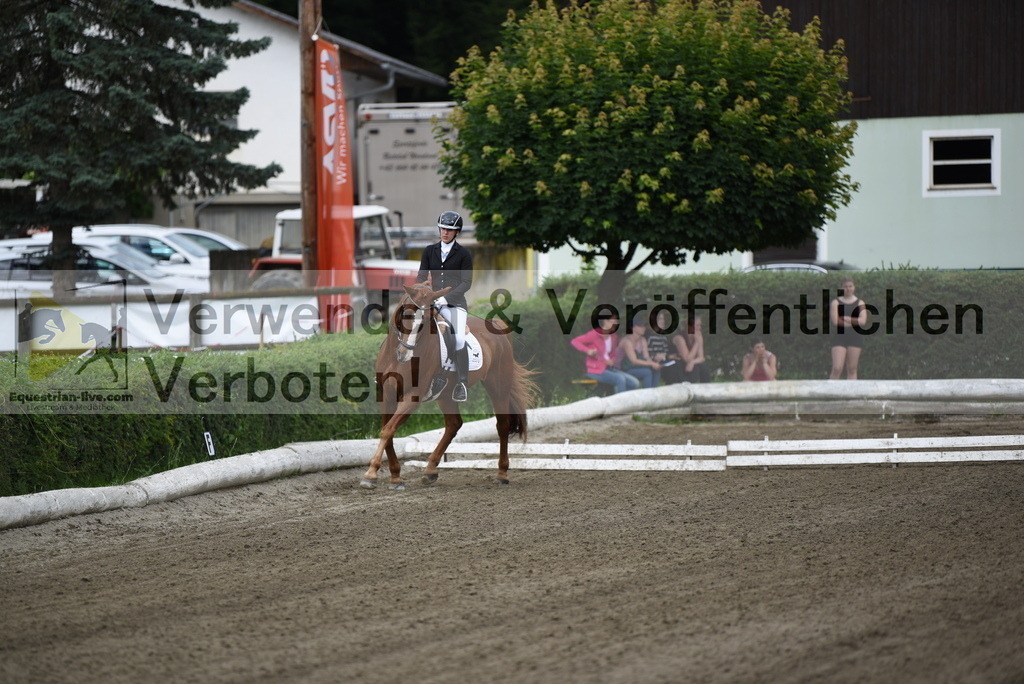 DSC_3618 | equestrian-live-com