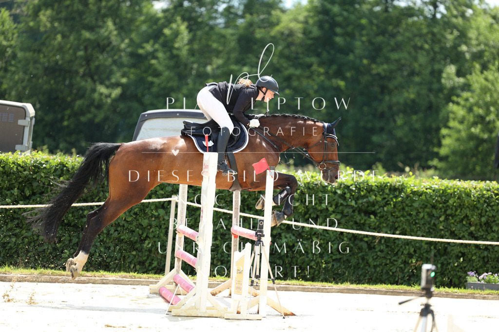 IMGM1666 | pl-fotografie