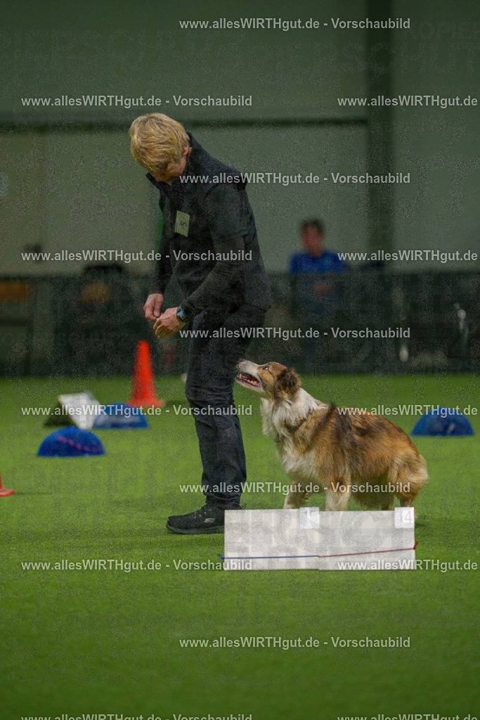 7R504384 | Professionelle Tierfotografie in Mönchengladbach von Daniel Wirth (allesWIRTHgut). Liebevolle & natürliche Bilder von Hunden & Katzen für unvergessliche Erinnerungen.