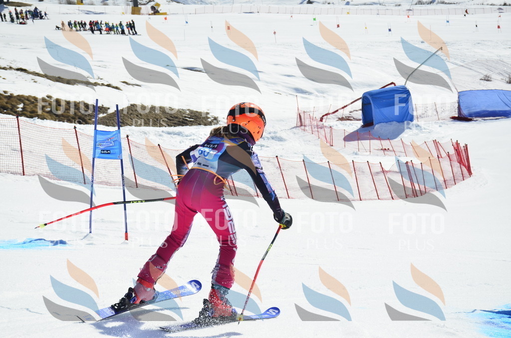 _ELE0412 | holidayphoto