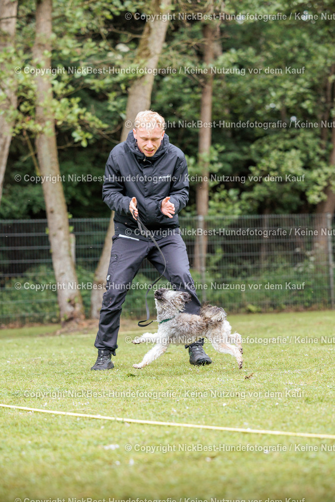 RO-Blumenthal-2026-Nickbest-Hundefotografie-4741 | Dein Hund! Dein Moment! Deine Erinnerungen! Hundefotografie in Bremen Blumenthal. Ich fange die besonderen Momente deines Vierbeiners ein – ob Indoor mit Blitzanlage oder in der freien Natur. Sicher dir dein Moment und dein Termin für eure Erinnerungen.