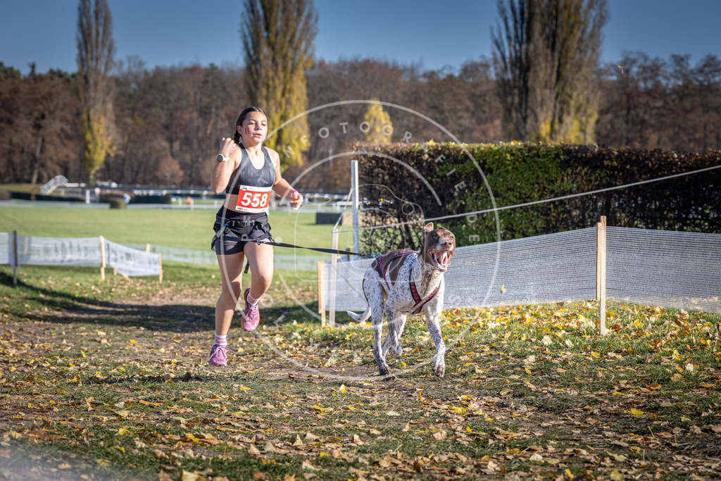 CaniXpix_DV3A8629 | Hundefotografie, Tierfotograf, Pfotenfotografie, Fotoshooting Hund, Hunde Portrait, Hundesport, Hundeportraits, Heideshooting, Hunde, Sportfotograf, Hundefotograf, Turnierhundsport, THS,  - Realisiert mit Pictrs.com