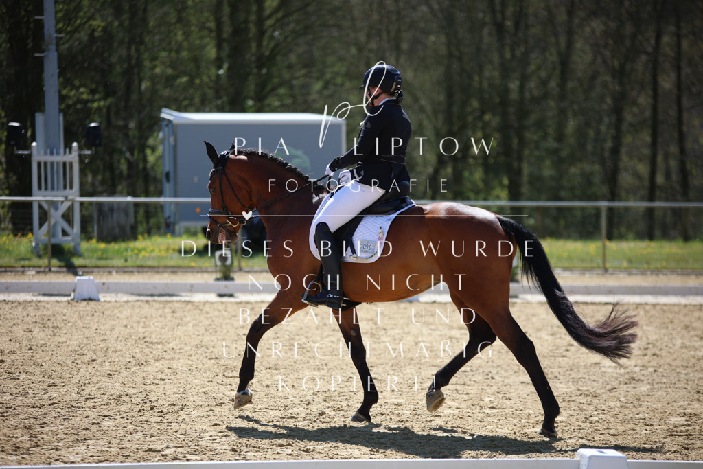 IMGT1036 | pl-fotografie