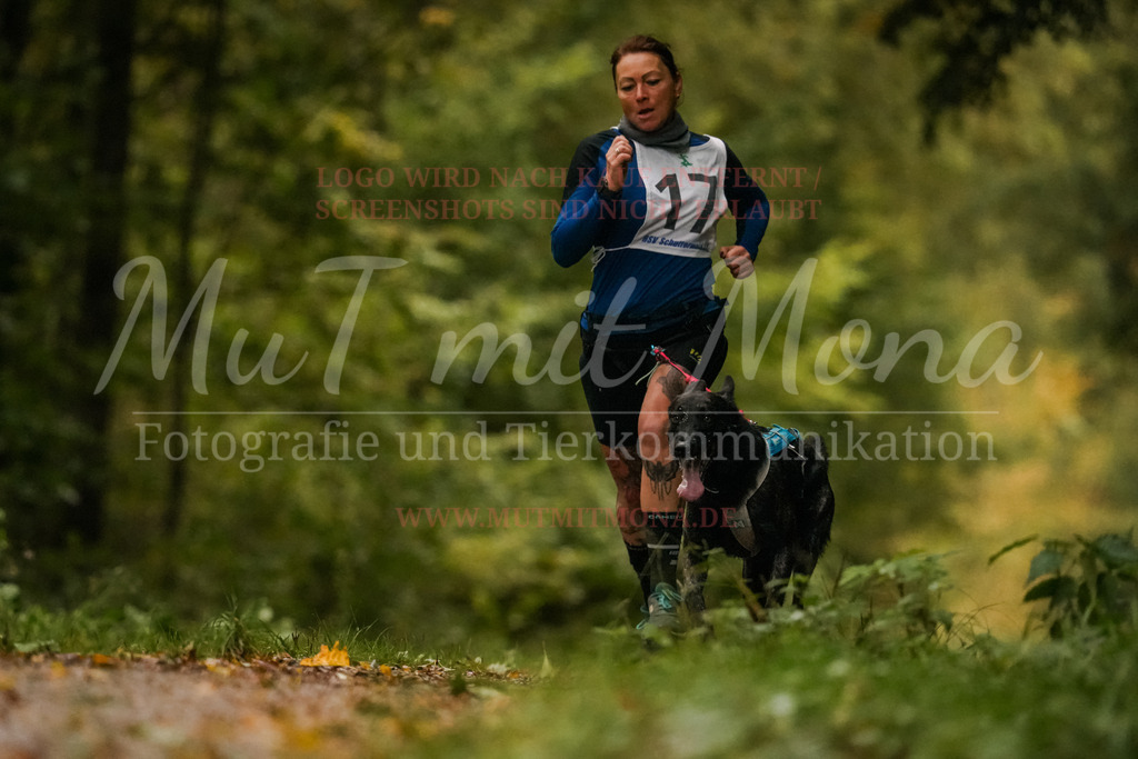 20251005_THS_Turnier-149 | MuT (Mensch und Tier) mit Mona - Fotografie und Tierkommunikation - Realisiert mit Pictrs.com
