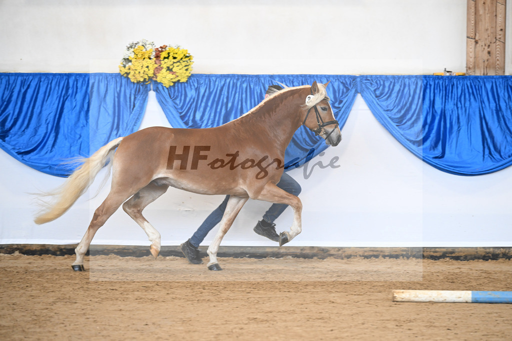 Kat-Nr. 34 nn v. Starino I_Grimminger_48251165 | hf-fotografie - Realisiert mit Pictrs.com
