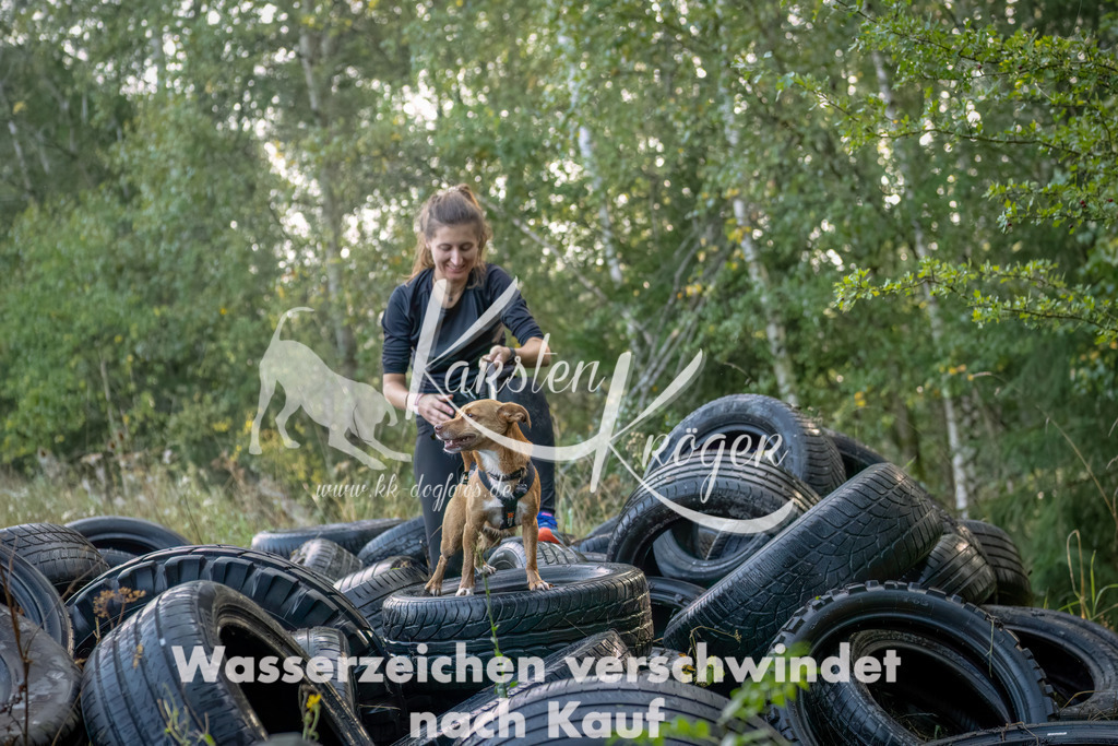 1006_ZZ93541-Bearbeitet | kk-dogfotos