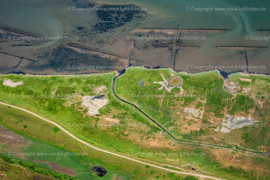 Sylt_Braderup_Wattseite_ELS_6320210625 | SYLT 21.06.2025 Küsten- Landschaft am Sandstrand mit Windsurfbretter und Segel eine Surfschule in Sylt-Ost im Bundesland Schleswig-Holstein, Deutschland. // Coastline on the sandy beach of in Sylt-Ost in the state Schleswig-Holstein, Germany. Foto: Martin Elsen