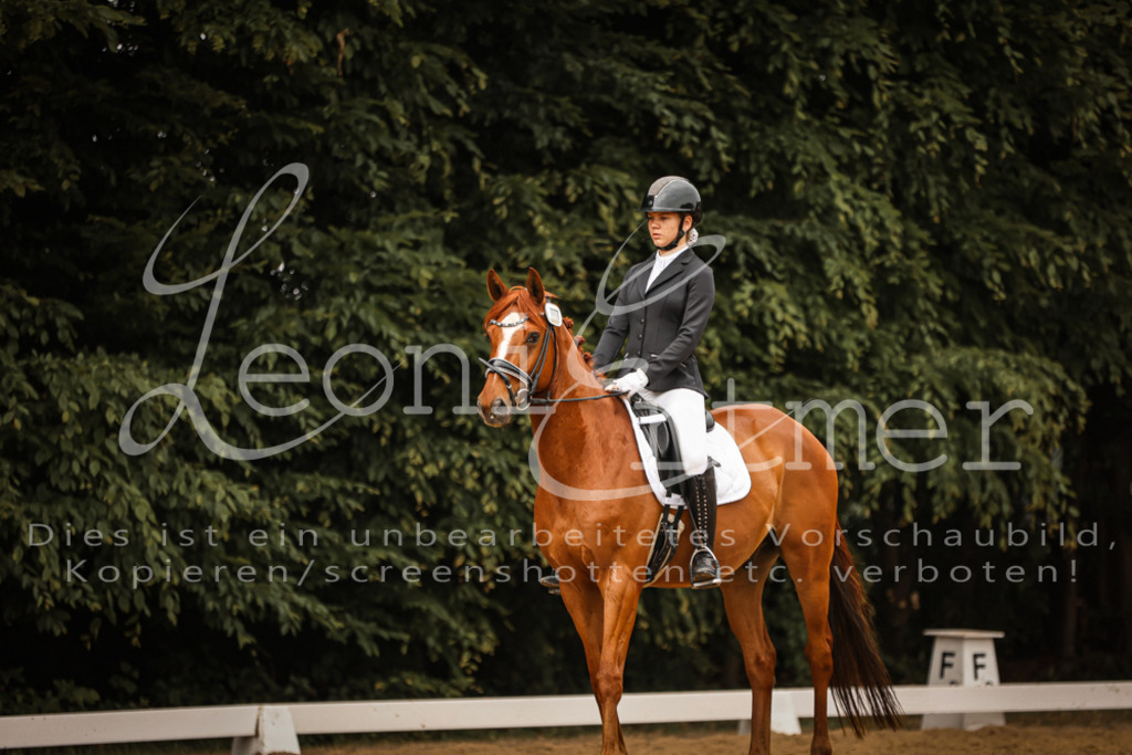 DoDrA200112 | Leoni Ertmer Photography - Realisiert mit Pictrs.com