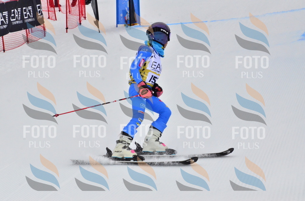 _ELE3842 | holidayphoto