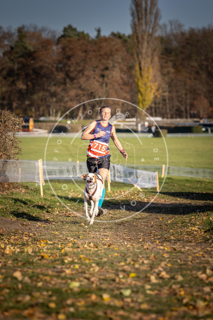 CaniXpix_DV3A1705 | Hundefotografie, Tierfotograf, Pfotenfotografie, Fotoshooting Hund, Hunde Portrait, Hundesport, Hundeportraits, Heideshooting, Hunde, Sportfotograf, Hundefotograf, Turnierhundsport, THS,  - Realisiert mit Pictrs.com