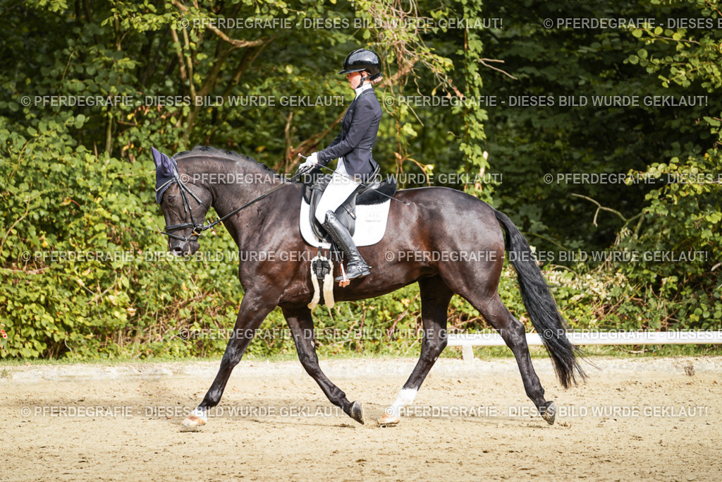 DSC09917 | Pferdegrafie