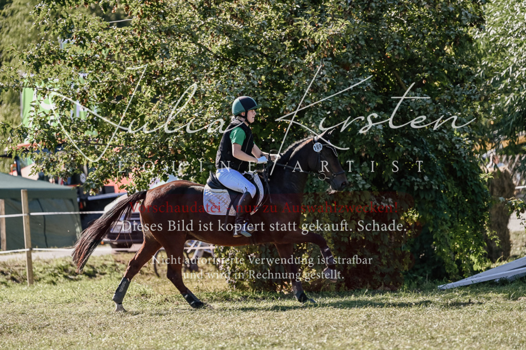 DSC_3601 | Pferde- und Turnierfotografie in Westsachsen. Pferdeportraits, Auftragszeichnungen und intuitive Kunst.