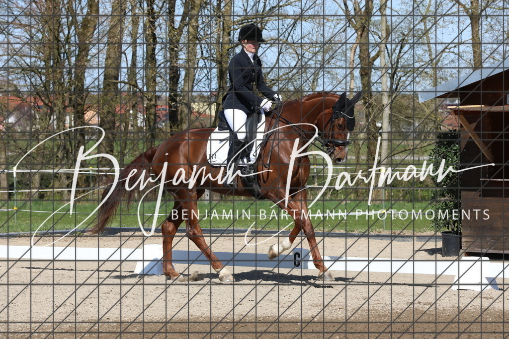 AZ2A4665 | Benjamin Bartmann Photomoments