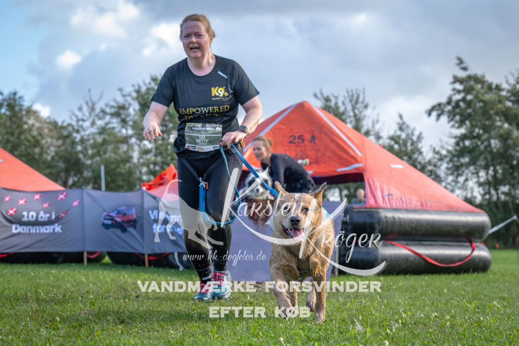 1253-90042 | kk-dogfotos