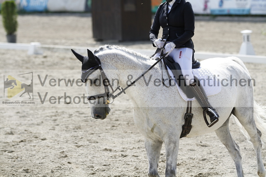 _MG_2203 | equestrian-live-com