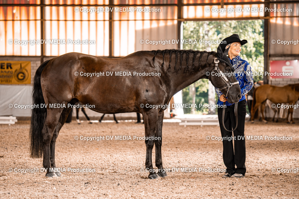 ZH100029 | dv-media-shop - Realisiert mit Pictrs.com