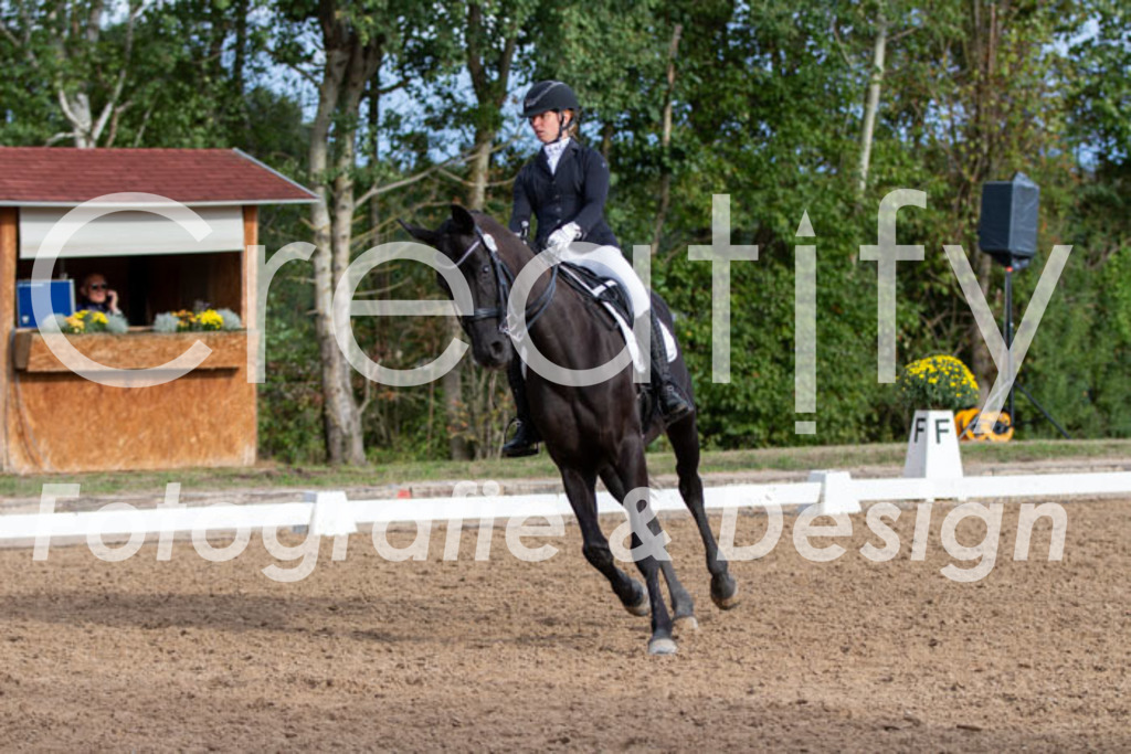 IMG_6200 | Creatify Fotografie