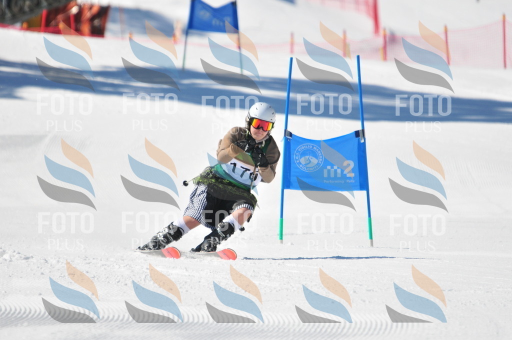 C4250 | holidayphoto