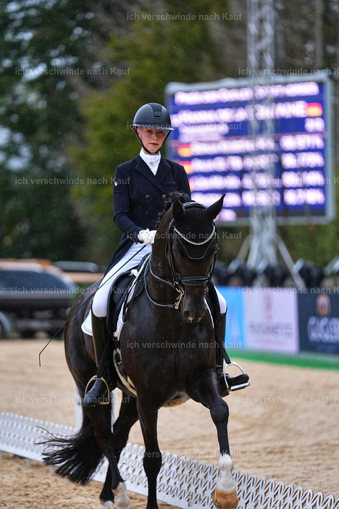 8_1-212-Klasse S_  -Marixx-4264 | working equitationturnier fotograf videograf stoibphotography marixx film working equitation deutschland reitsport turnierfotografie eventfotografie equestrian events