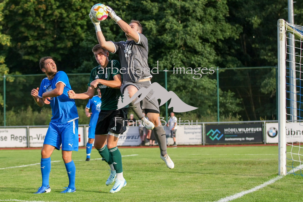 993T2439 | Medien- Sport- Entertainmentfotos