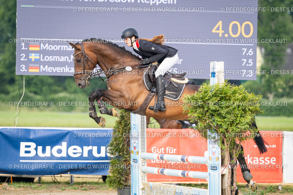 DSC07840 | Pferdegrafie