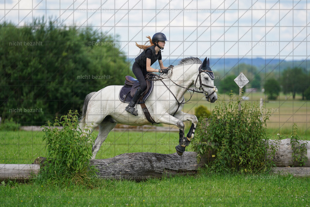 20240622-FAH07948 | Turnierfotografen Bayern, Reitsportbilder aus dem Geländekurs mit Felix Etzel auf dem Gut Waitzacker 2024