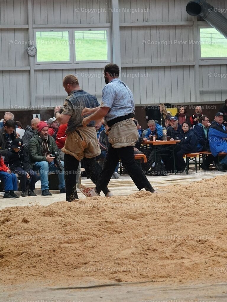 k-DSC06106 | Schwingen - Realisiert mit Pictrs.com