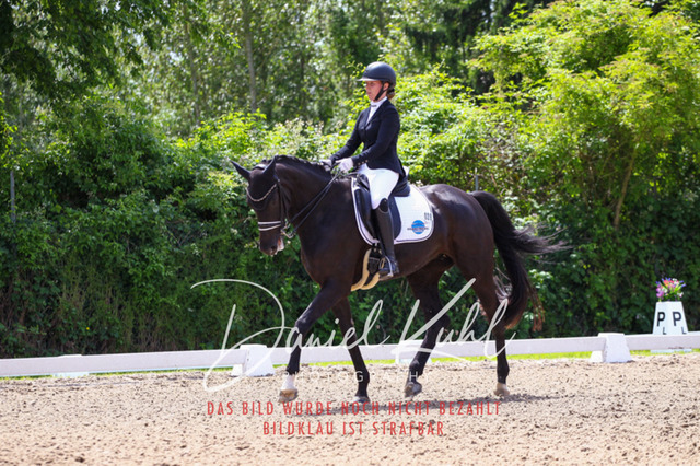 DKP40978 | Turnierfotos kaufen im Webshop von Daniel Kuhl Photography – entdecke professionelle Reitsportfotos aus Turnieren & Events. Hochwertige Turnierbilder online bestellen & sichern. Jetzt Fotos von Reitsportturnieren kaufen!