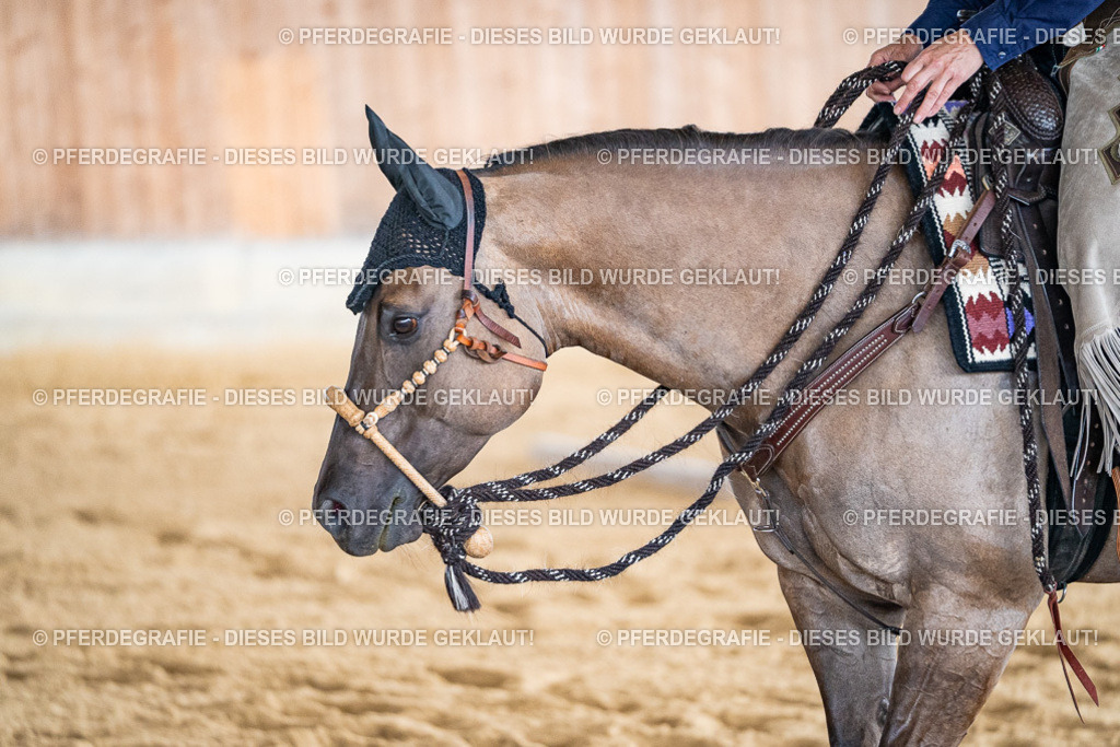 DSC08317 | Pferdegrafie