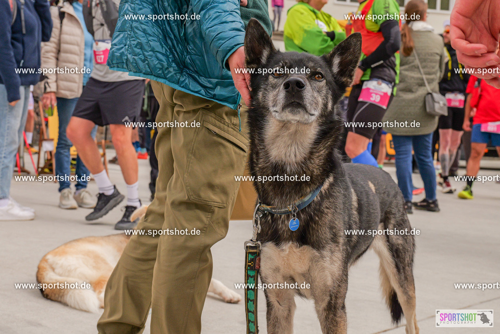 PRAB1152 | GaPa Trail 2025 #gapatrail #yourpictrs #sportshot_your_pictrs Copyright: www.sportshot.de