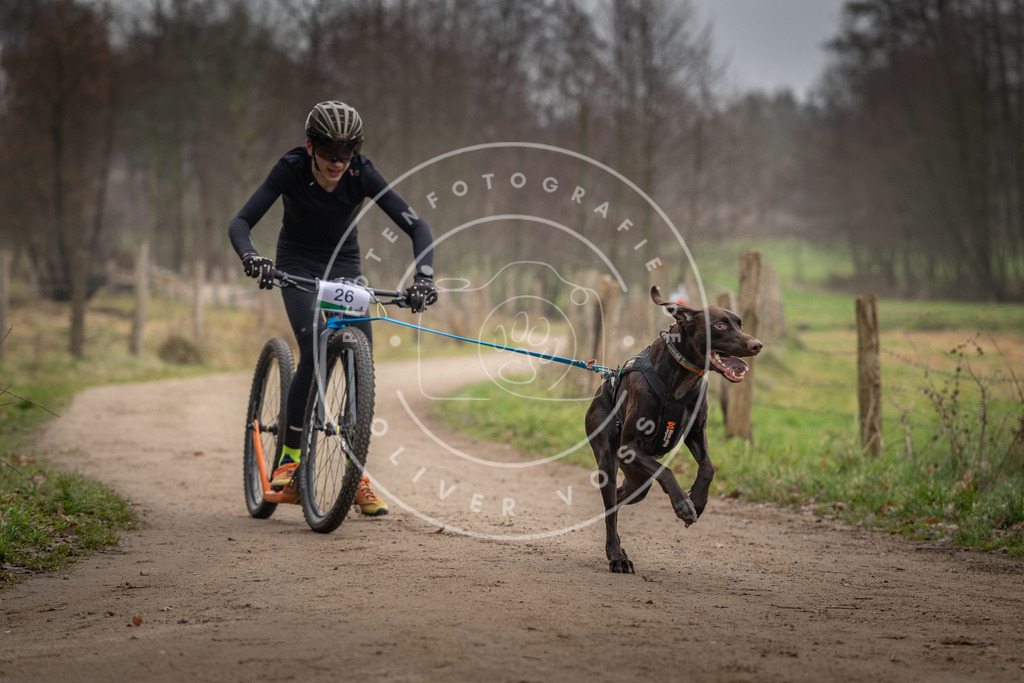 Pfotenfotografie_DV3A2135 | Hundefotografie, Tierfotograf, Pfotenfotografie, Fotoshooting Hund, Hunde Portrait, Hundesport, Hundeportraits, Heideshooting, Hunde, Sportfotograf, Hundefotograf, Turnierhundsport, THS,  - Realisiert mit Pictrs.com