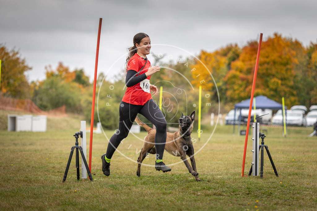 Pfotenfotografie_DV3A5219 | Hundefotografie, Tierfotograf, Pfotenfotografie, Fotoshooting Hund, Hunde Portrait, Hundesport, Hundeportraits, Heideshooting, Hunde, Sportfotograf, Hundefotograf, Turnierhundsport, THS,  - Realisiert mit Pictrs.com