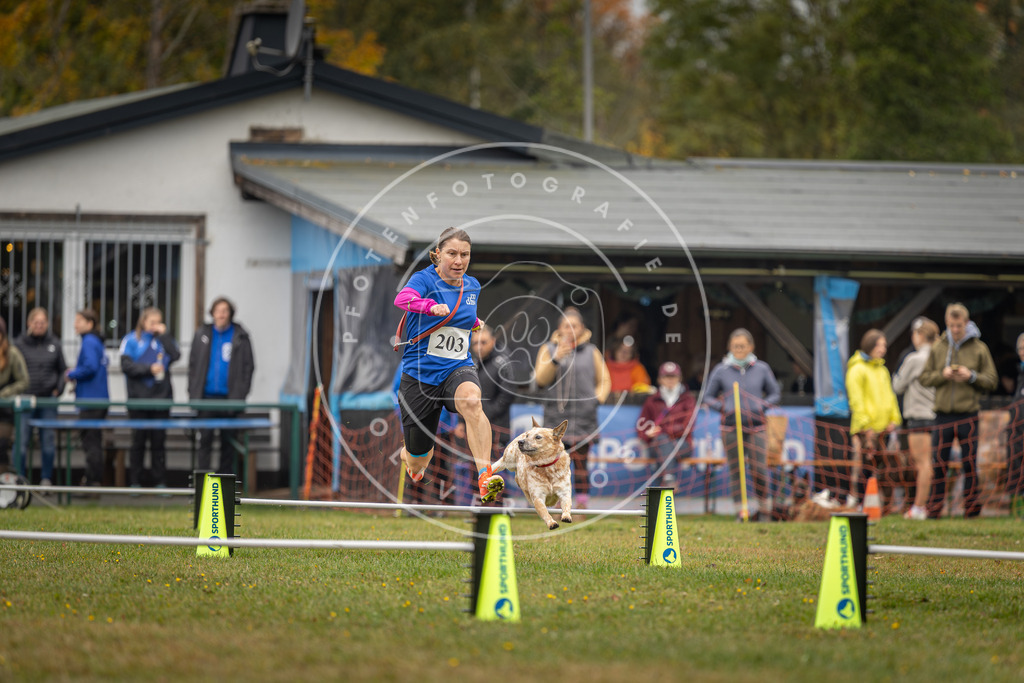 Pfotenfotografie_DV3A1645 | Hundefotografie, Tierfotograf, Pfotenfotografie, Fotoshooting Hund, Hunde Portrait, Hundesport, Hundeportraits, Heideshooting, Hunde, Sportfotograf, Hundefotograf, Turnierhundsport, THS,  - Realisiert mit Pictrs.com