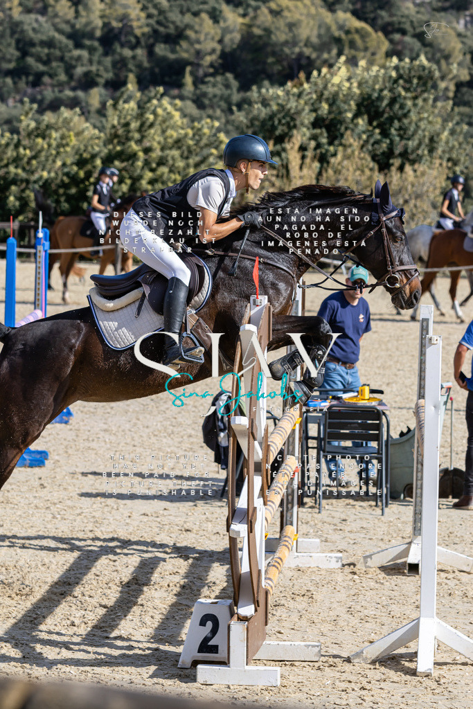 IMG_0383 | s-jay-photography - Realisiert mit Pictrs.com