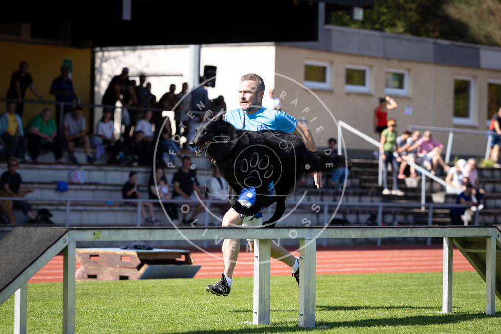 Pfotenfotografie_DV3A9325 | Hundefotografie, Tierfotograf, Pfotenfotografie, Fotoshooting Hund, Hunde Portrait, Hundesport, Hundeportraits, Heideshooting, Hunde, Sportfotograf, Hundefotograf, Turnierhundsport, THS,  - Realisiert mit Pictrs.com