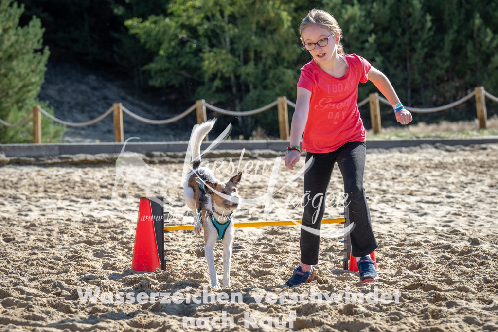 1226_ZZ93049-2 | kk-dogfotos