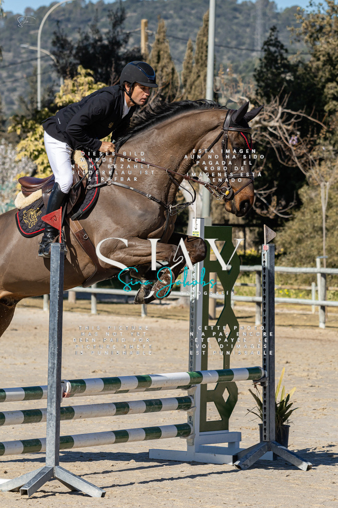 IMG_8918 | s-jay-photography - Realisiert mit Pictrs.com