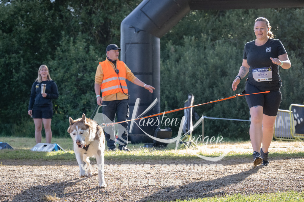 0913_ZZ94653 | kk-dogfotos