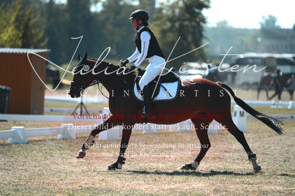 DSC_8261 | Pferde- und Turnierfotografie in Westsachsen. Pferdeportraits, Auftragszeichnungen und intuitive Kunst.