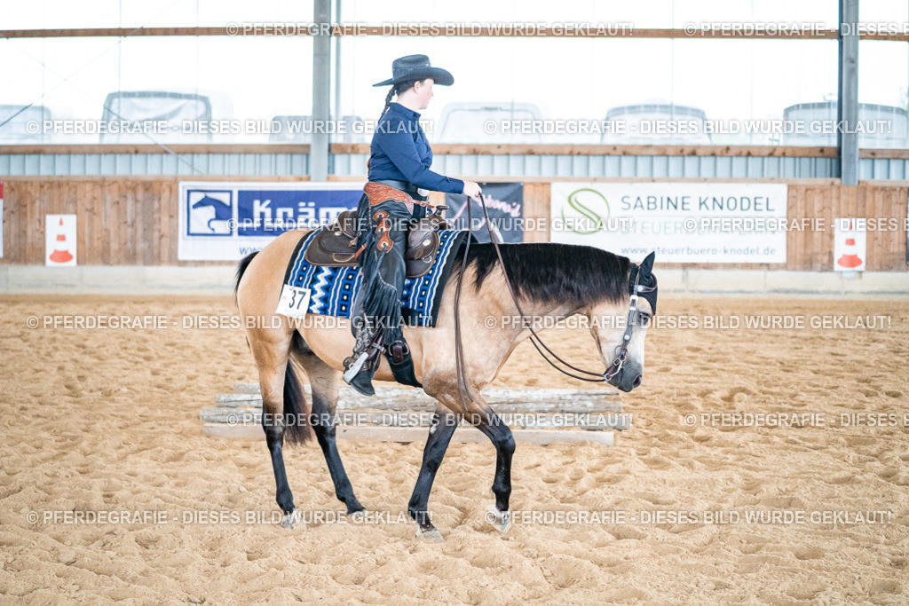 DSC03403 | Pferdegrafie