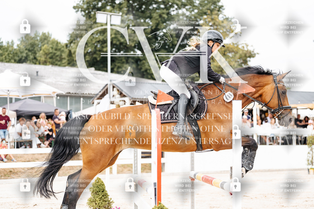 CK906280 | Turnierfotografie Pferdefotografie Trier Rheinland-Pfalz Pferdesport Reitsport Tierfotografie Sportfotografie Pferdevideo Pferdevideografie Equestrianvideography equestrianphotography  - Realisiert mit Pictrs.com
