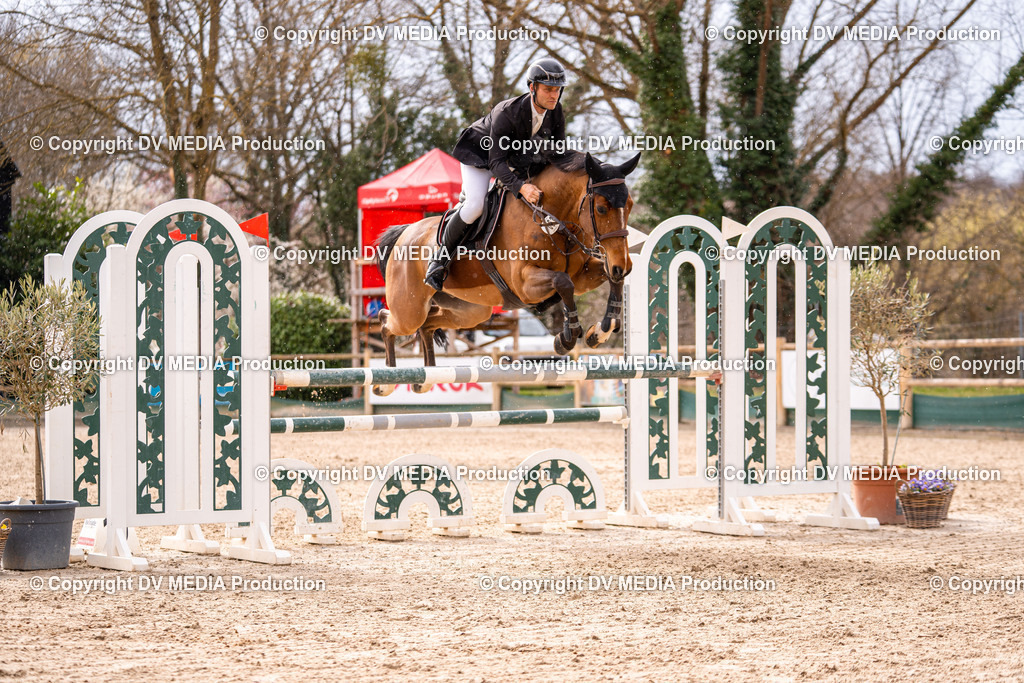 Kranichstein Tag 2-393 | dv-media-shop - Realisiert mit Pictrs.com