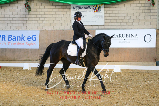 IMG_2631 | Turnierfotos kaufen im Webshop von Daniel Kuhl Photography – entdecke professionelle Reitsportfotos aus Turnieren & Events. Hochwertige Turnierbilder online bestellen & sichern. Jetzt Fotos von Reitsportturnieren kaufen!