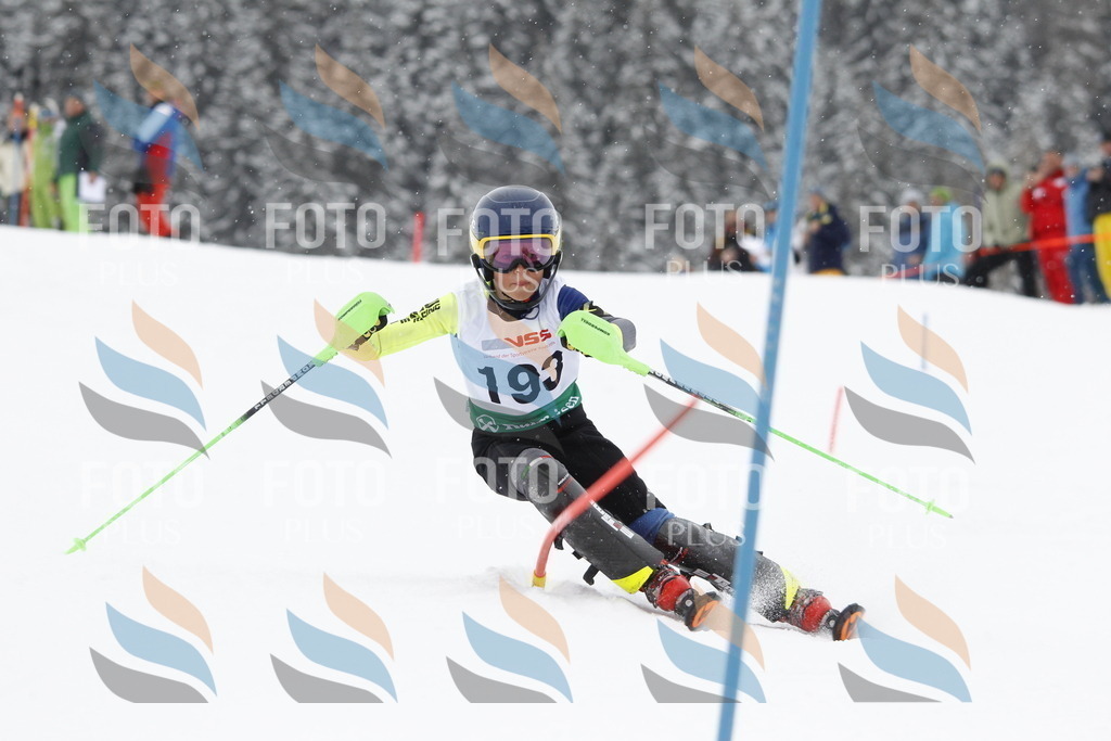 A2073 | holidayphoto