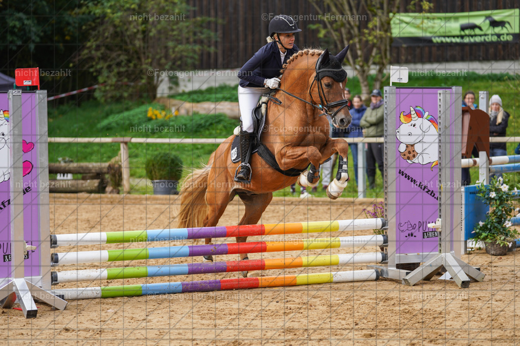 20221009-FAH08606 | Diessen am Ammersee, 2022, Dressur- und Springturnier, Reitsportbilder, Turnierfotografen Bayern, Pferdefotografen, Fotoagentur Herrmann, Turnierbilder