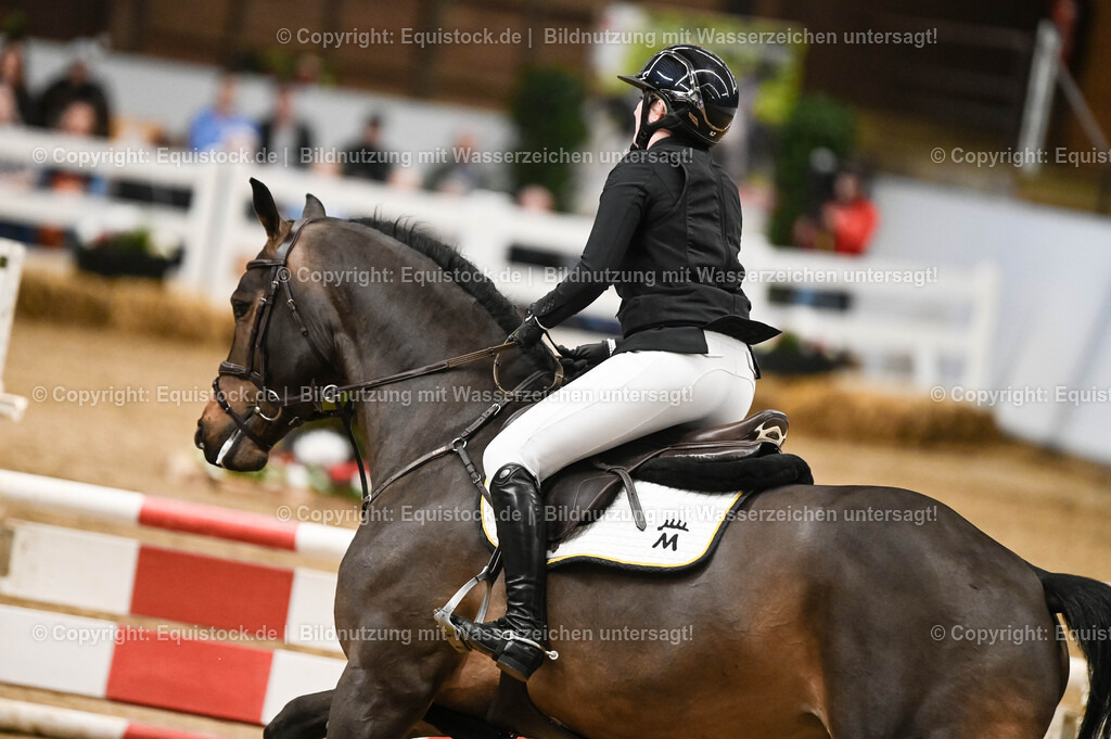 20260307_Hengstvorstellung-Marbach_0122 | equistock